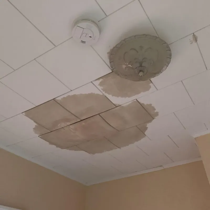 Ceiling Water Damage Repair in Northfield, OH