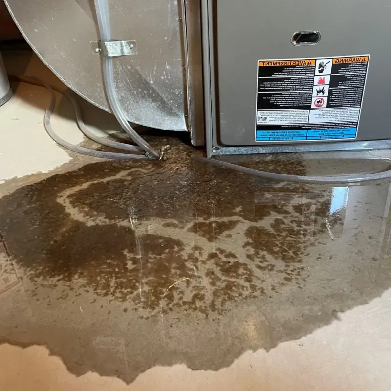 Pipe Burst and Leak Restoration in Northfield, OH